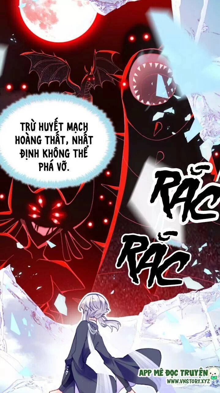 Lại Bị Bệnh Chiều Chuộng Quấn Lấy Chapter 22 - 52