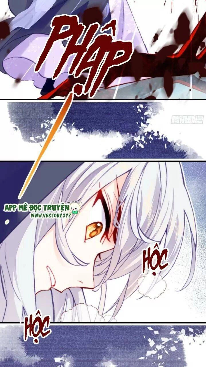 Lại Bị Bệnh Chiều Chuộng Quấn Lấy Chapter 23 - 11