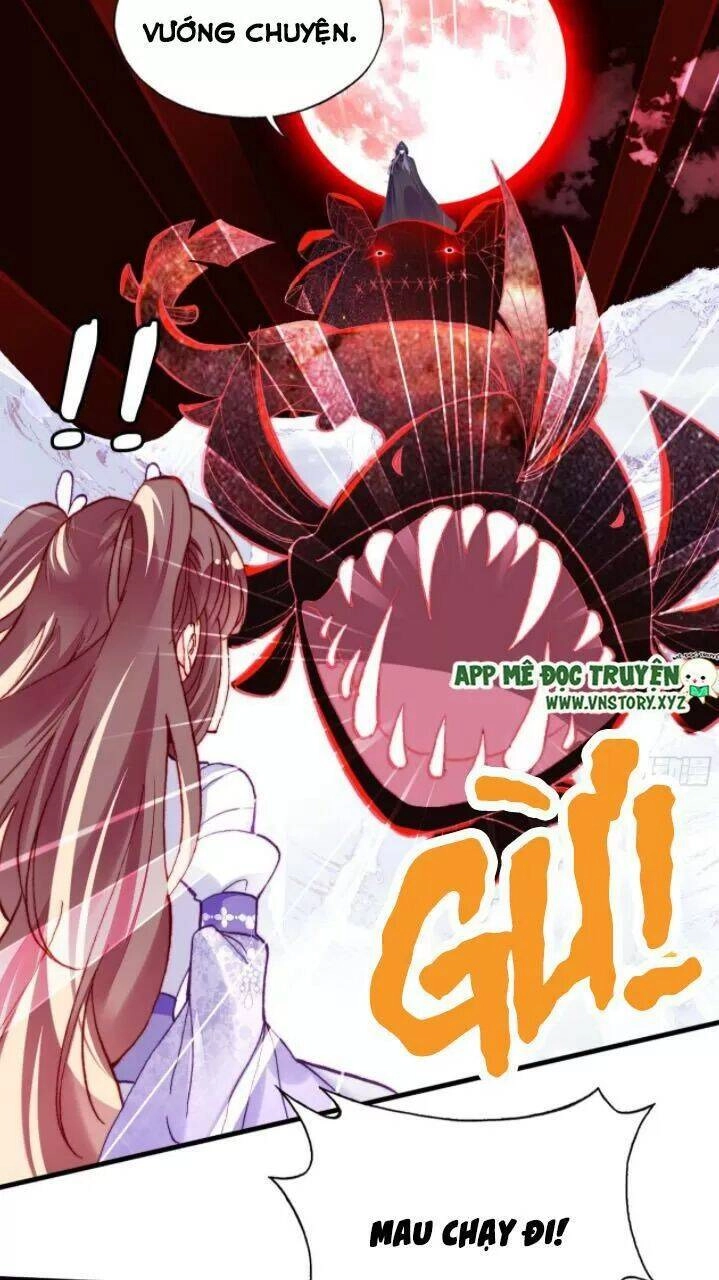 Lại Bị Bệnh Chiều Chuộng Quấn Lấy Chapter 23 - 49