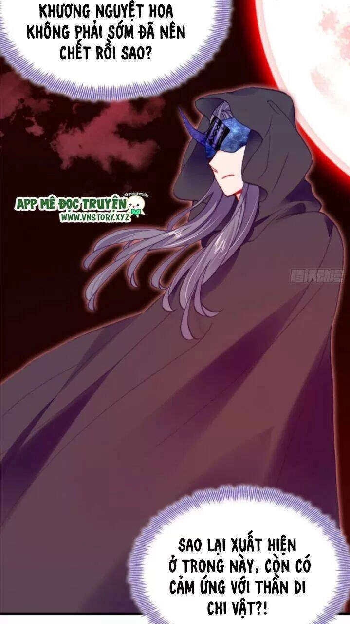 Lại Bị Bệnh Chiều Chuộng Quấn Lấy Chapter 24 - 5