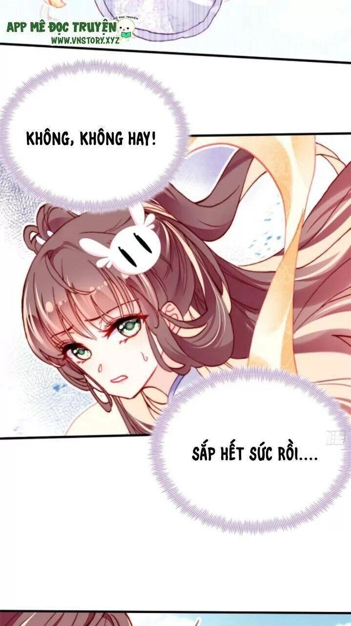 Lại Bị Bệnh Chiều Chuộng Quấn Lấy Chapter 24 - 47