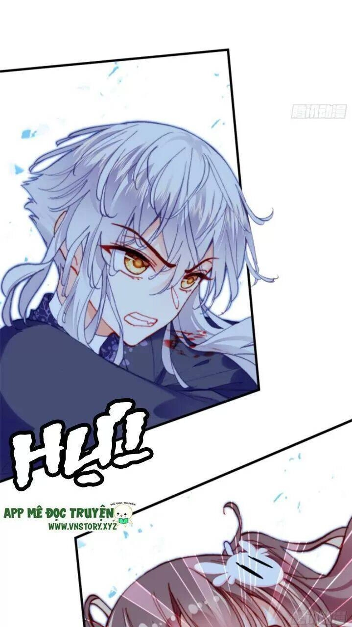 Lại Bị Bệnh Chiều Chuộng Quấn Lấy Chapter 24 - 53