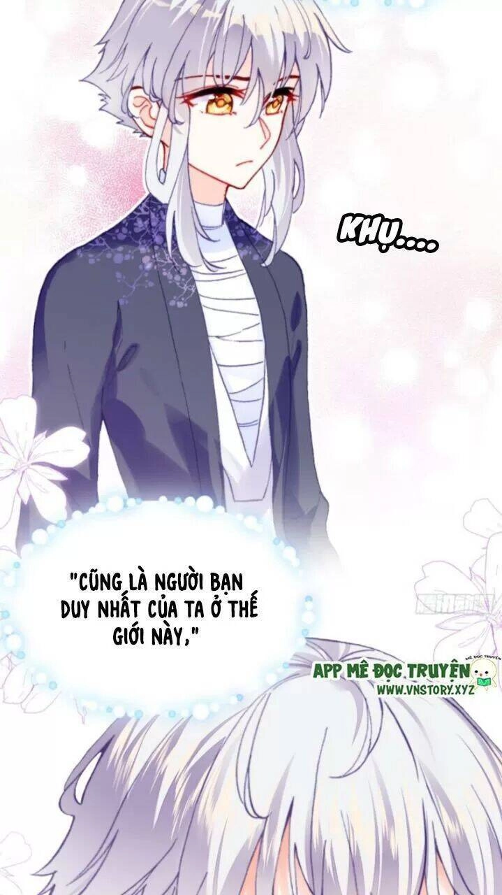 Lại Bị Bệnh Chiều Chuộng Quấn Lấy Chapter 25 - 33