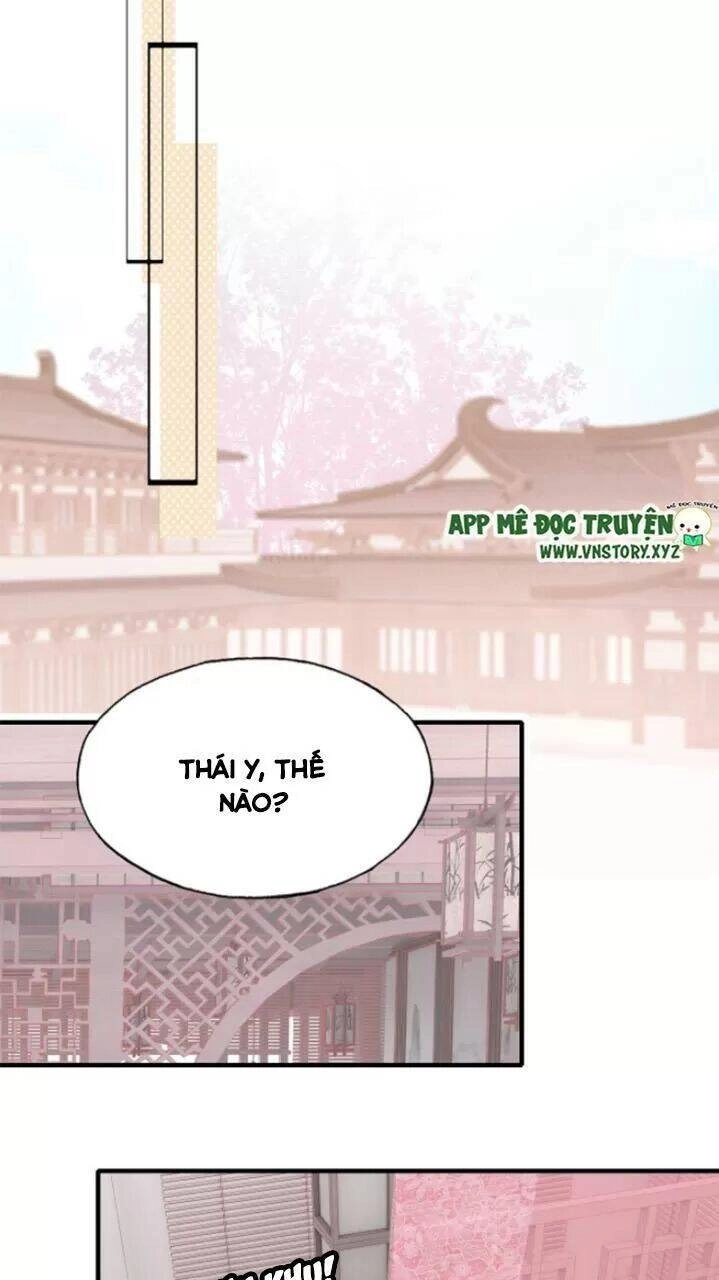 Lại Bị Bệnh Chiều Chuộng Quấn Lấy Chapter 26 - 22