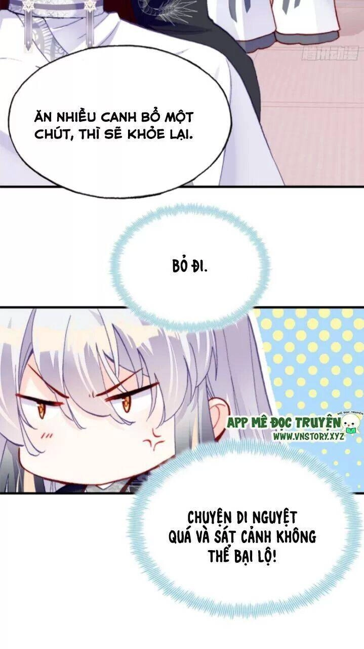 Lại Bị Bệnh Chiều Chuộng Quấn Lấy Chapter 26 - 29