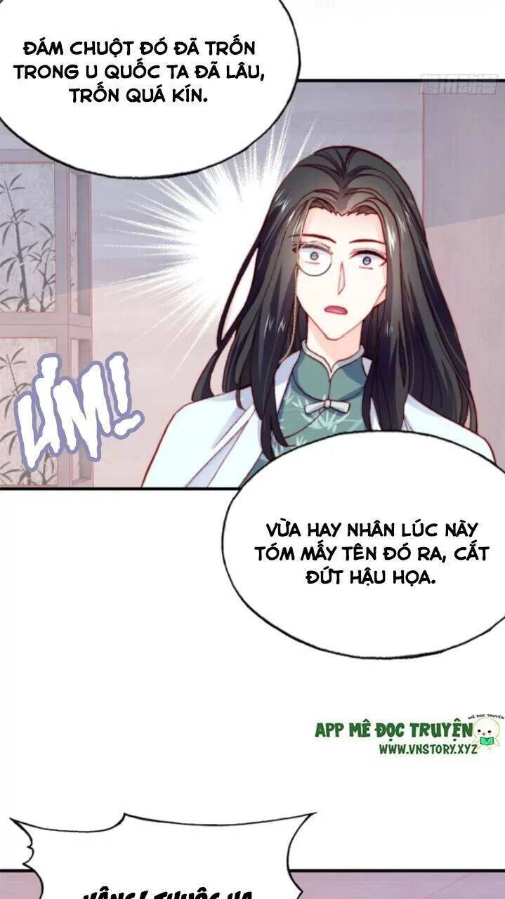 Lại Bị Bệnh Chiều Chuộng Quấn Lấy Chapter 26 - 36