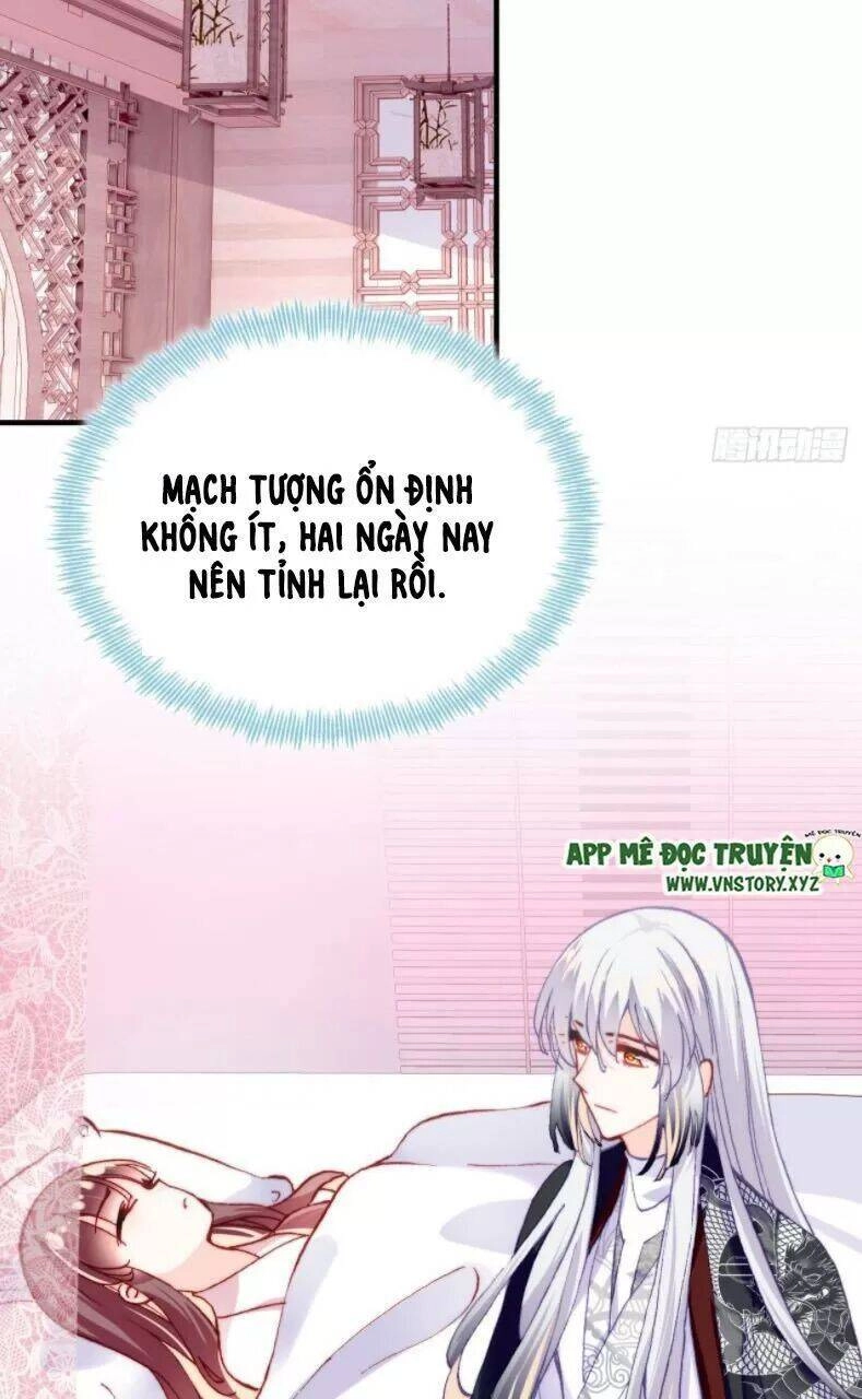 Lại Bị Bệnh Chiều Chuộng Quấn Lấy Chapter 27 - 3