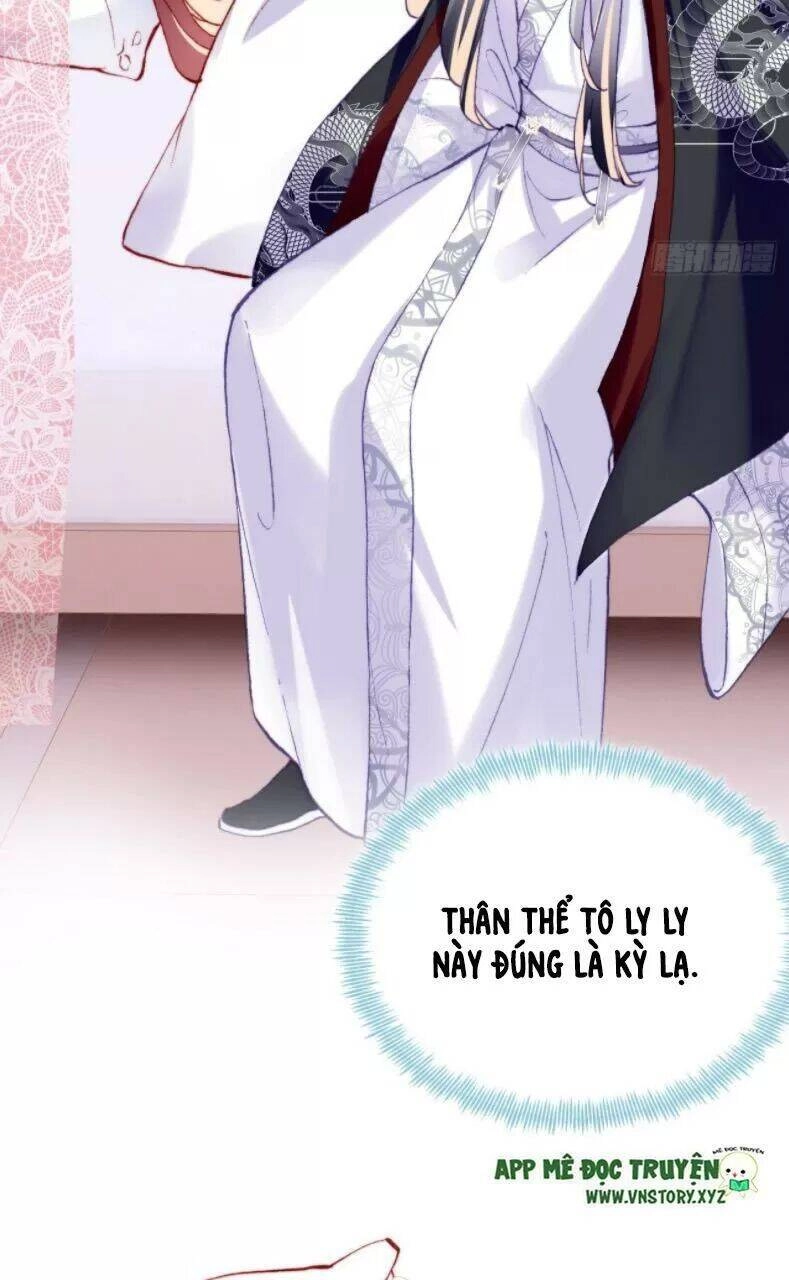 Lại Bị Bệnh Chiều Chuộng Quấn Lấy Chapter 27 - 4