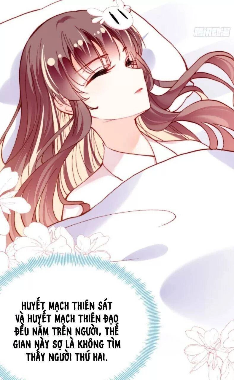 Lại Bị Bệnh Chiều Chuộng Quấn Lấy Chapter 27 - 5