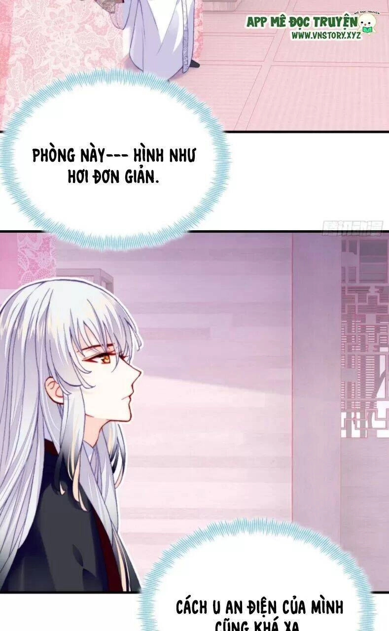 Lại Bị Bệnh Chiều Chuộng Quấn Lấy Chapter 27 - 11