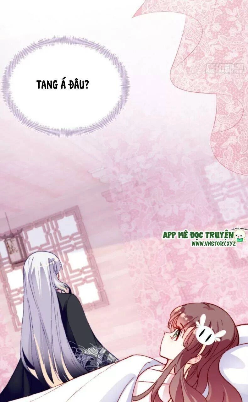 Lại Bị Bệnh Chiều Chuộng Quấn Lấy Chapter 27 - 16