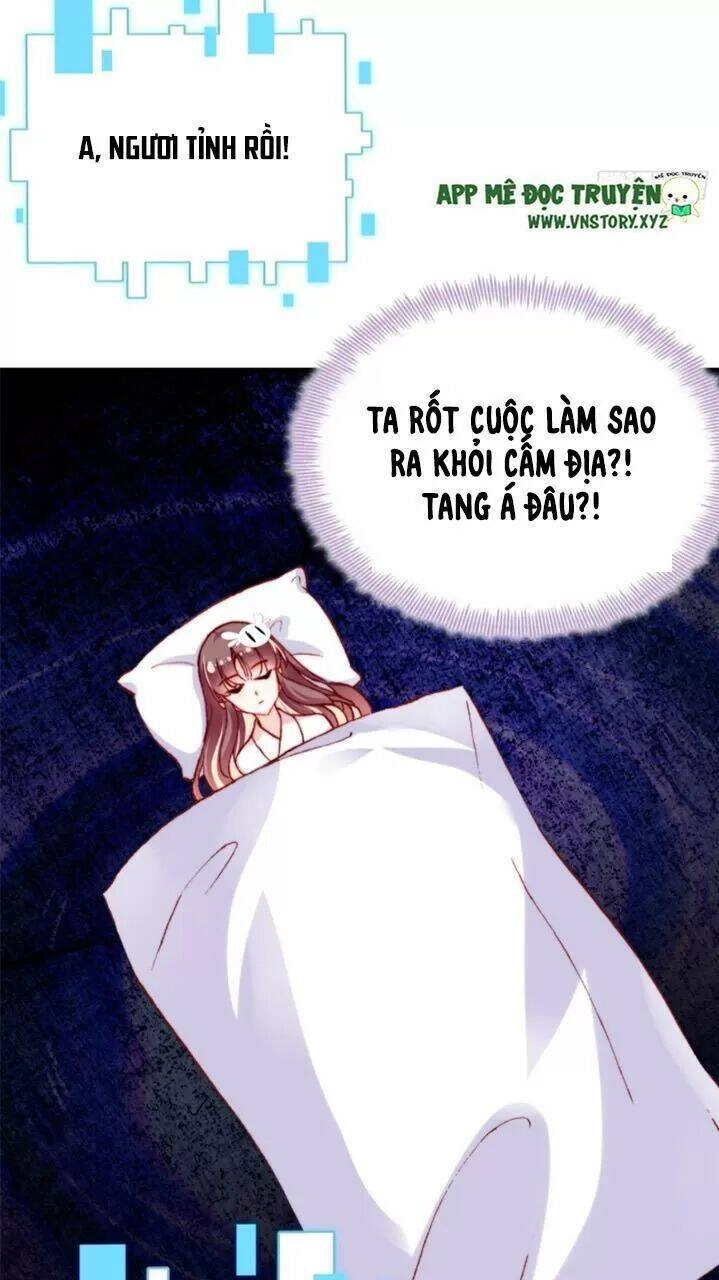 Lại Bị Bệnh Chiều Chuộng Quấn Lấy Chapter 27 - 24