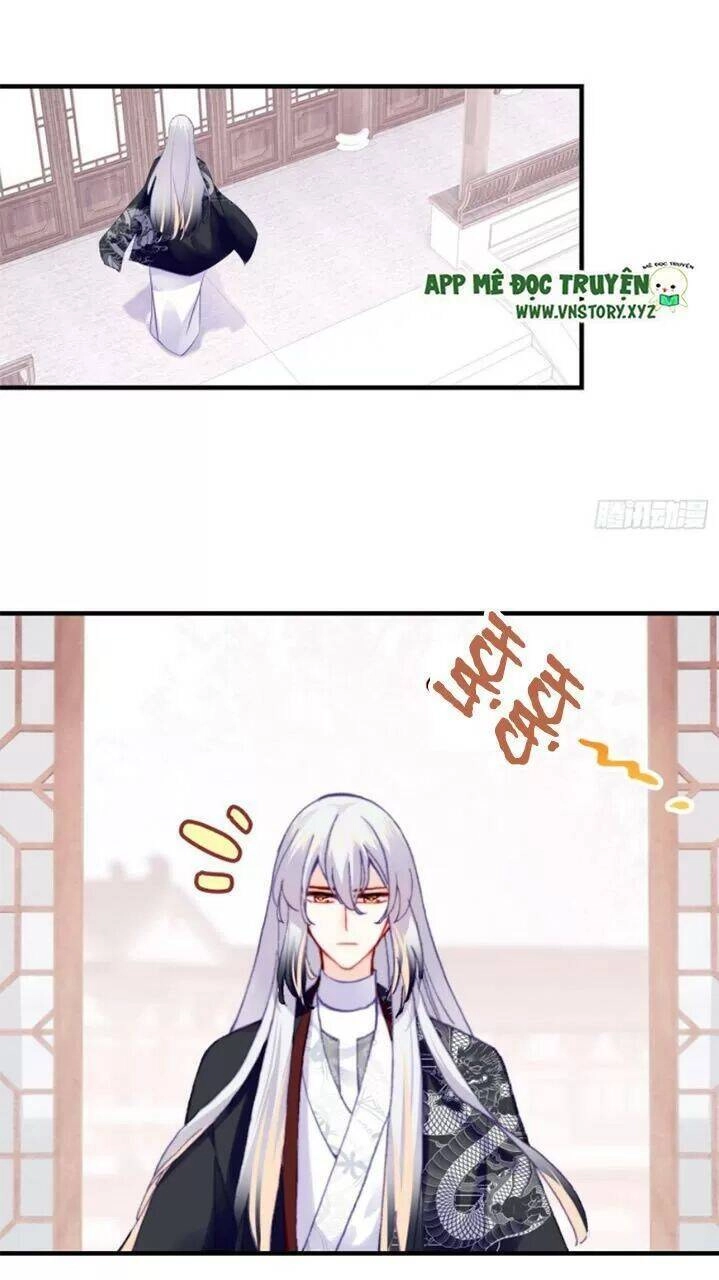 Lại Bị Bệnh Chiều Chuộng Quấn Lấy Chapter 27 - 41