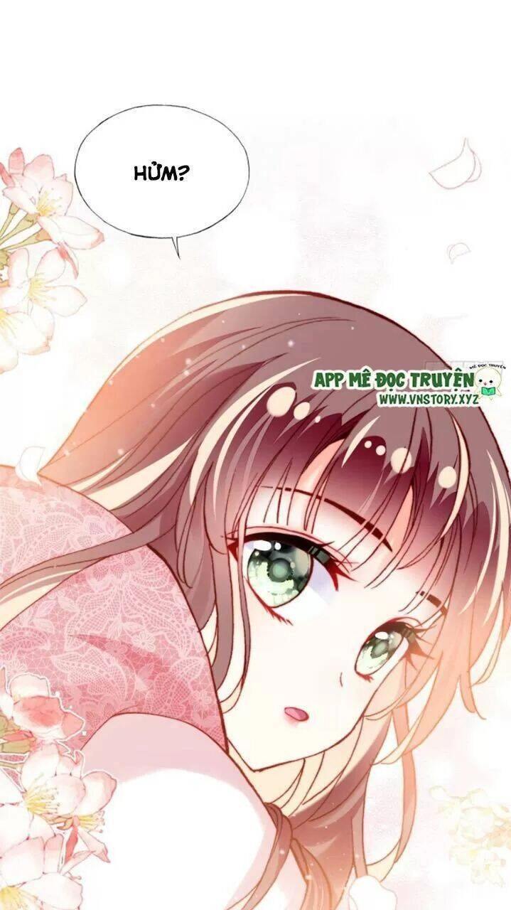 Lại Bị Bệnh Chiều Chuộng Quấn Lấy Chapter 27 - 42