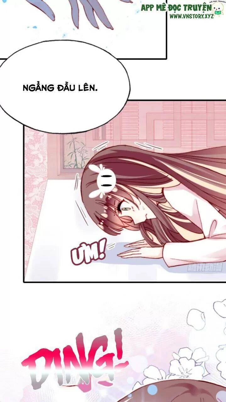 Lại Bị Bệnh Chiều Chuộng Quấn Lấy Chapter 28 - 24