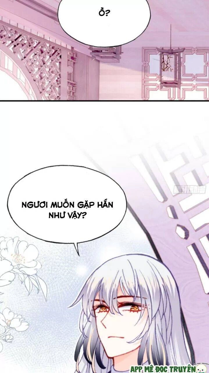 Lại Bị Bệnh Chiều Chuộng Quấn Lấy Chapter 28 - 44