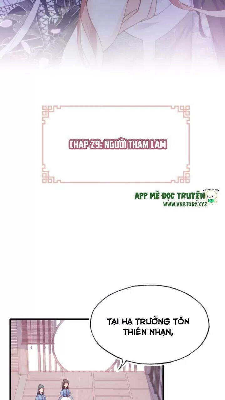 Lại Bị Bệnh Chiều Chuộng Quấn Lấy Chapter 29 - 2