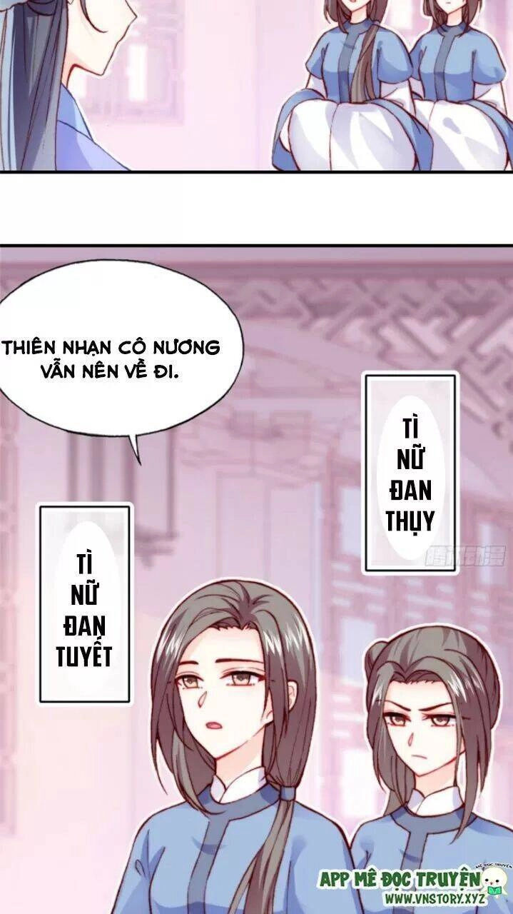 Lại Bị Bệnh Chiều Chuộng Quấn Lấy Chapter 29 - 5