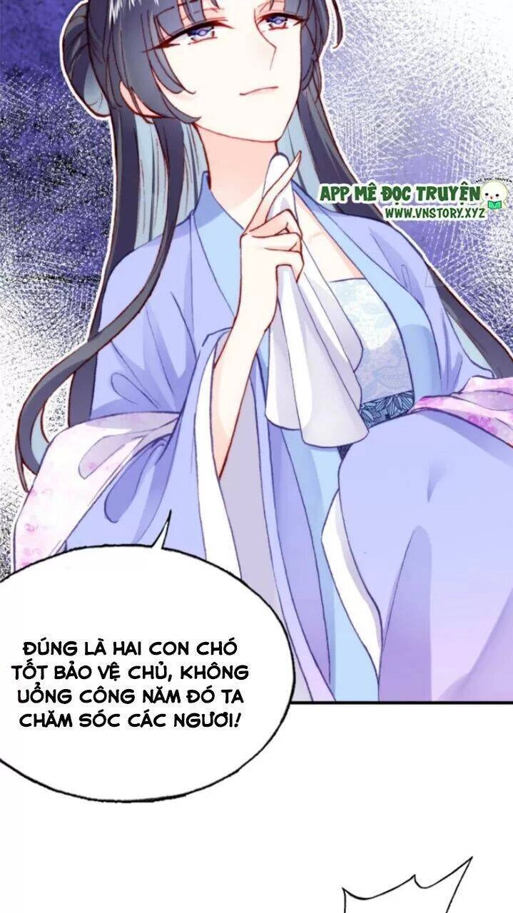 Lại Bị Bệnh Chiều Chuộng Quấn Lấy Chapter 29 - 8