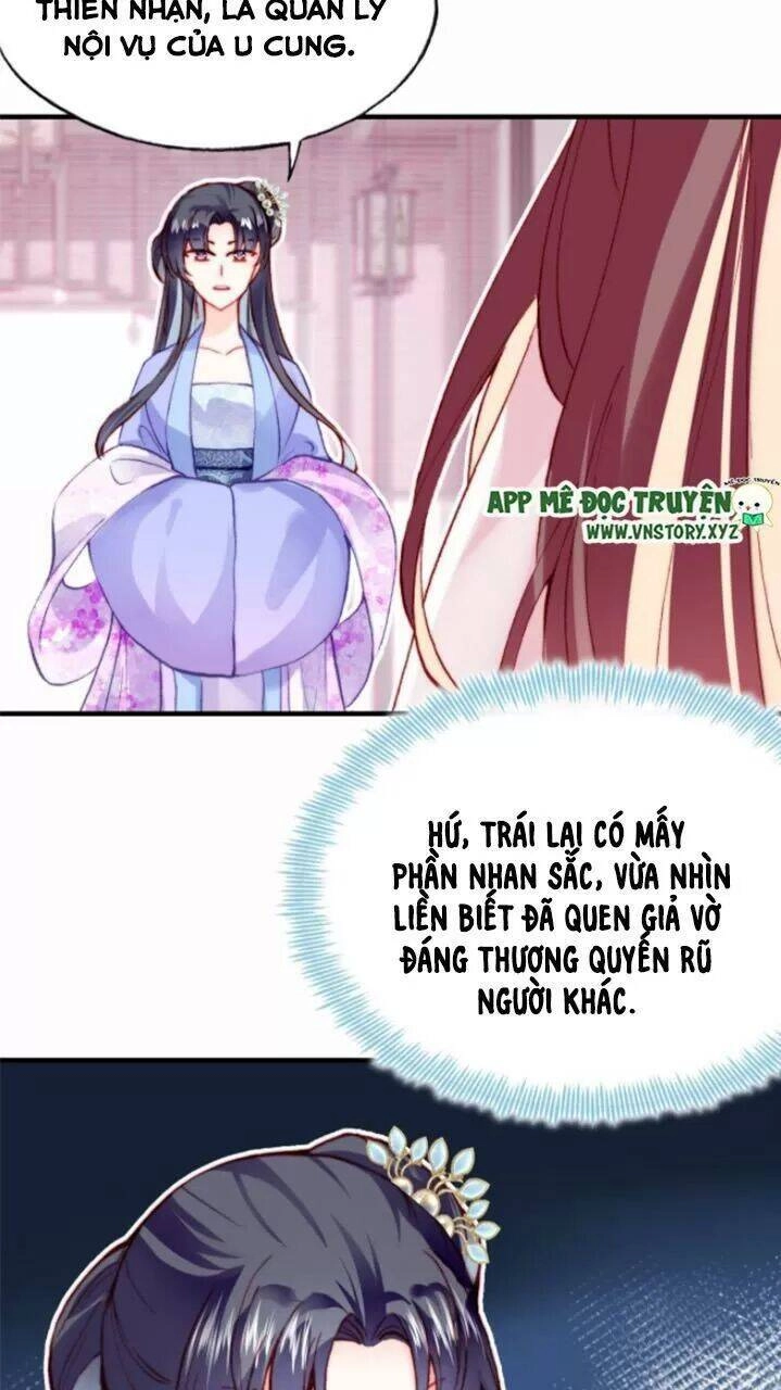 Lại Bị Bệnh Chiều Chuộng Quấn Lấy Chapter 29 - 14