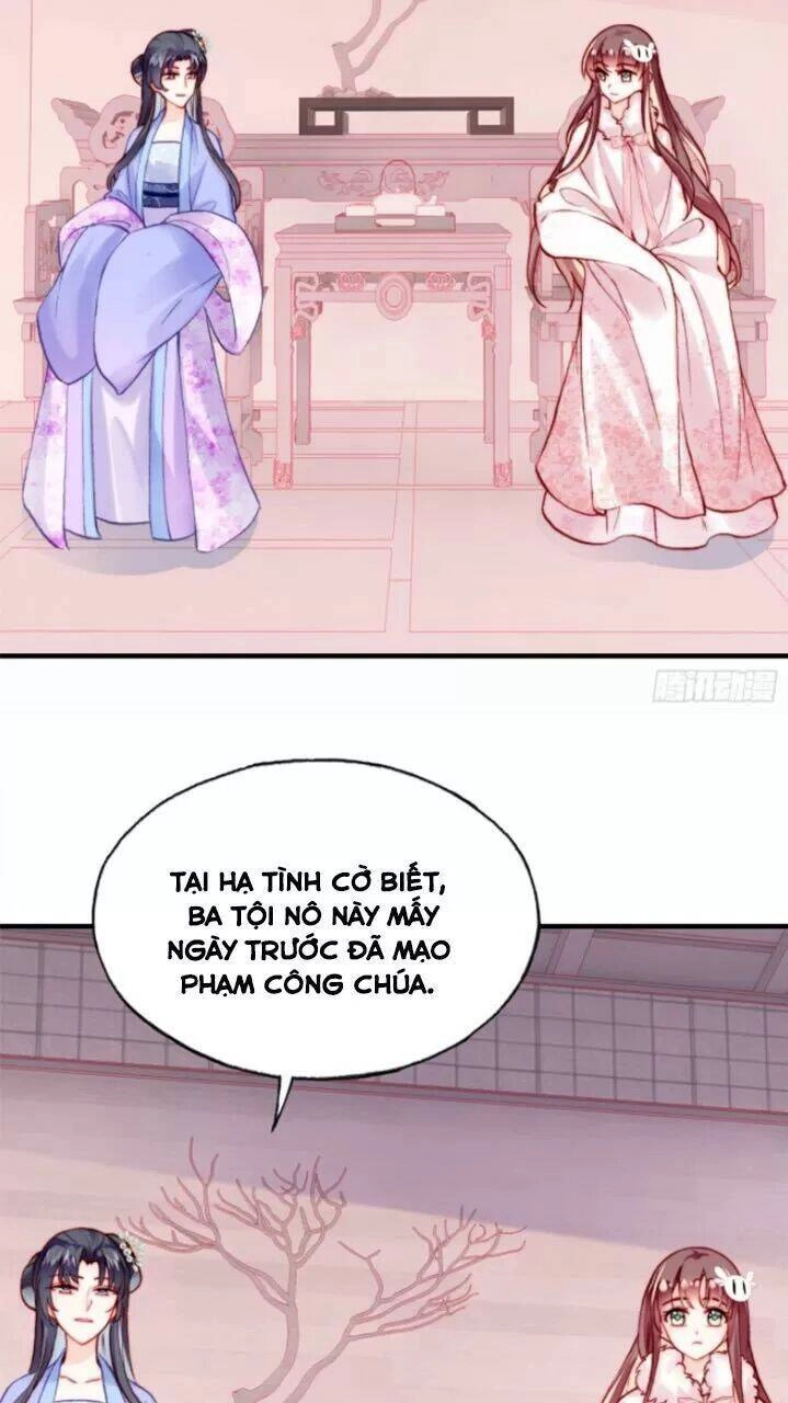 Lại Bị Bệnh Chiều Chuộng Quấn Lấy Chapter 29 - 17