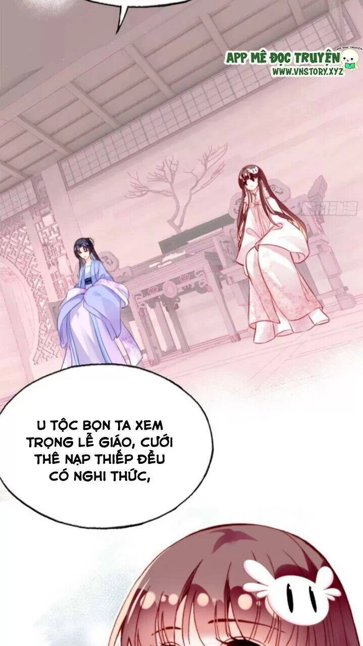 Lại Bị Bệnh Chiều Chuộng Quấn Lấy Chapter 29 - 34