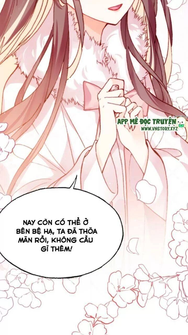 Lại Bị Bệnh Chiều Chuộng Quấn Lấy Chapter 29 - 41