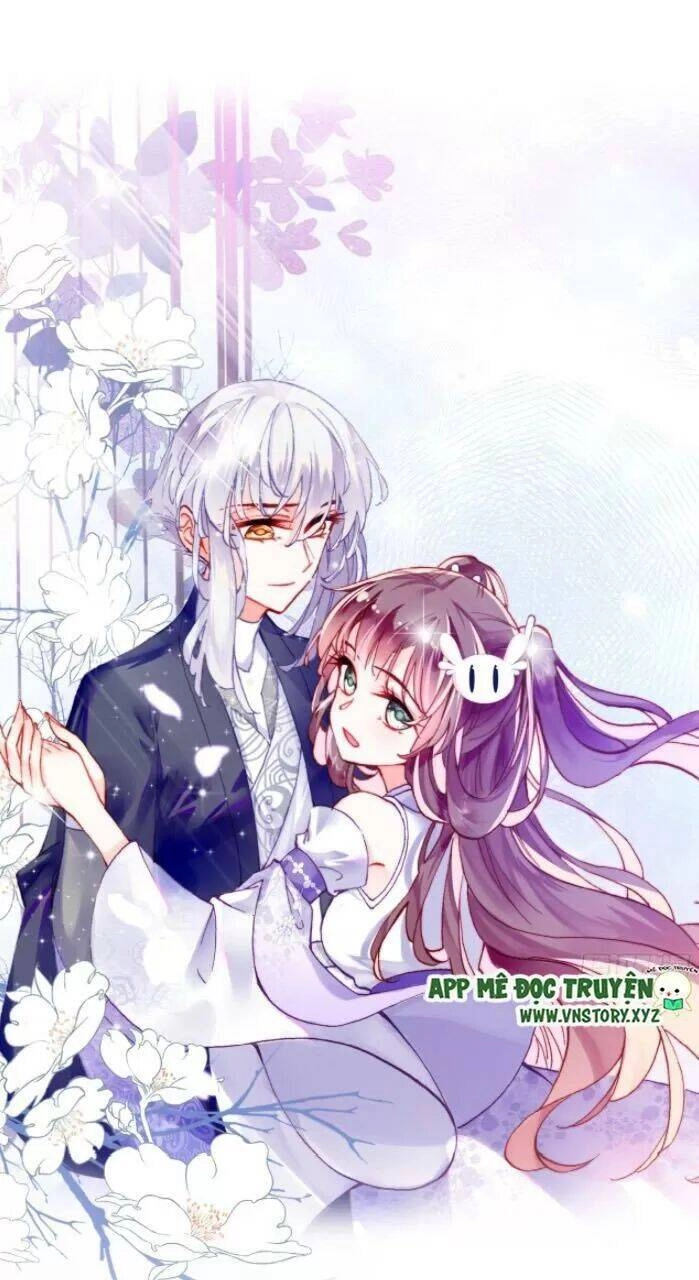 Lại Bị Bệnh Chiều Chuộng Quấn Lấy Chapter 31 - 1