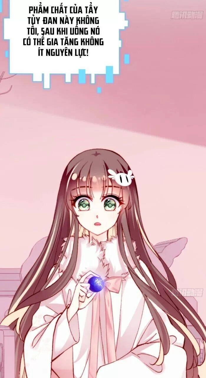 Lại Bị Bệnh Chiều Chuộng Quấn Lấy Chapter 31 - 4