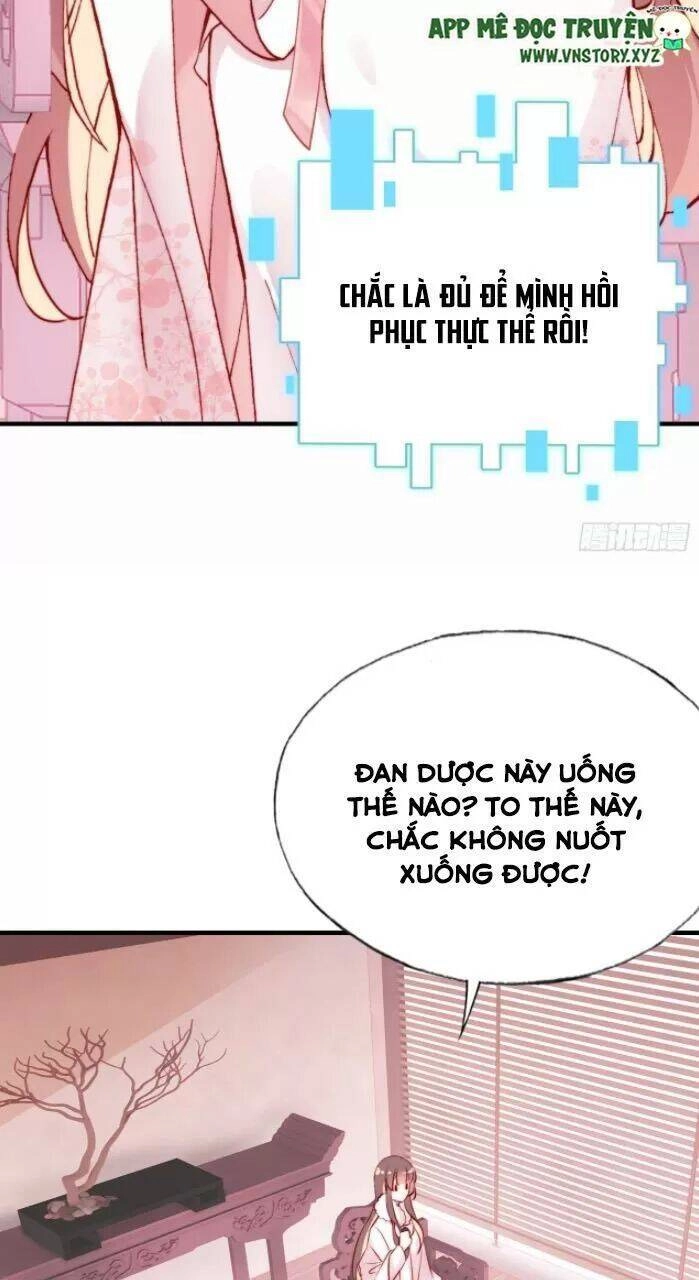 Lại Bị Bệnh Chiều Chuộng Quấn Lấy Chapter 31 - 5