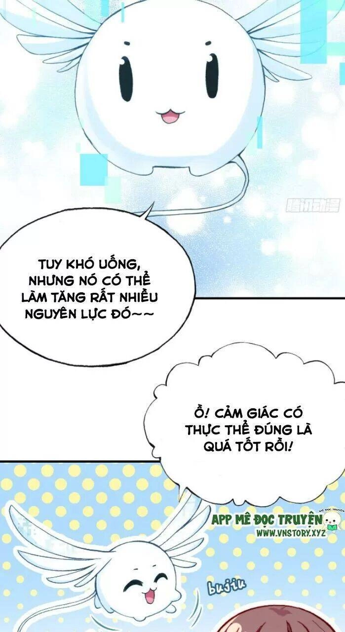 Lại Bị Bệnh Chiều Chuộng Quấn Lấy Chapter 31 - 10