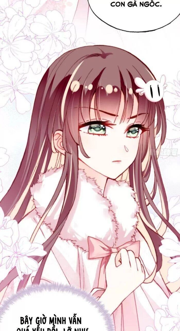 Lại Bị Bệnh Chiều Chuộng Quấn Lấy Chapter 31 - 24