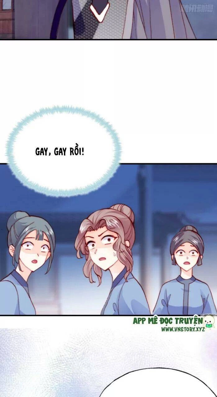 Lại Bị Bệnh Chiều Chuộng Quấn Lấy Chapter 31 - 47