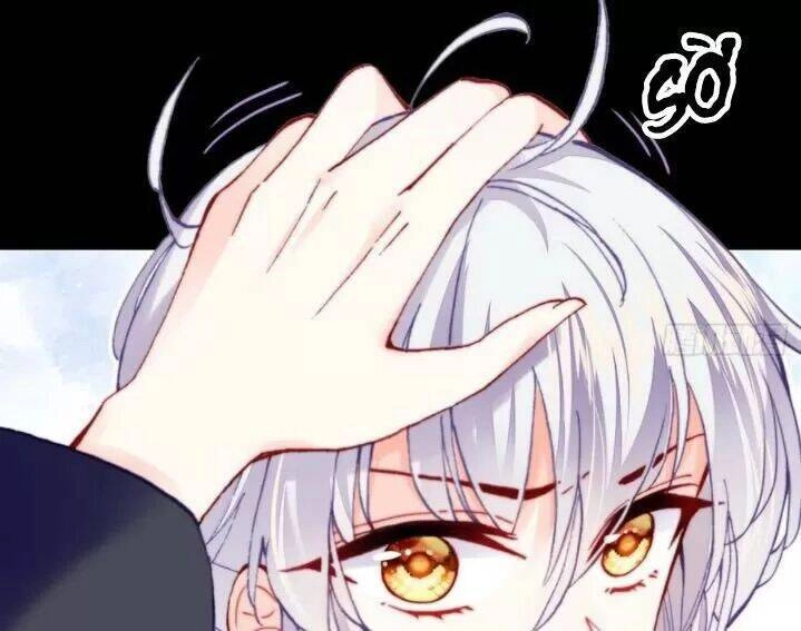 Lại Bị Bệnh Chiều Chuộng Quấn Lấy Chapter 32 - 22