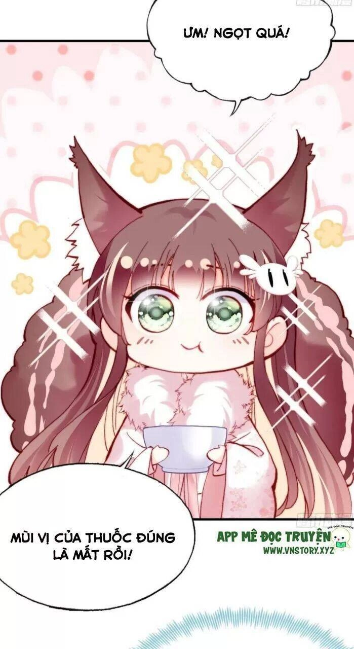 Lại Bị Bệnh Chiều Chuộng Quấn Lấy Chapter 33 - 11