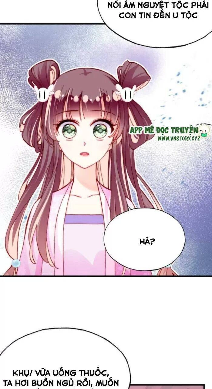 Lại Bị Bệnh Chiều Chuộng Quấn Lấy Chapter 33 - 24