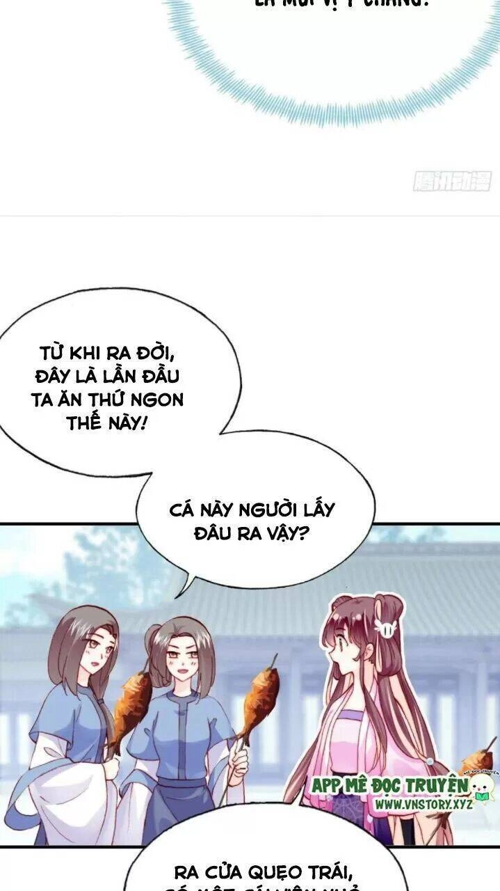 Lại Bị Bệnh Chiều Chuộng Quấn Lấy Chapter 34 - 10