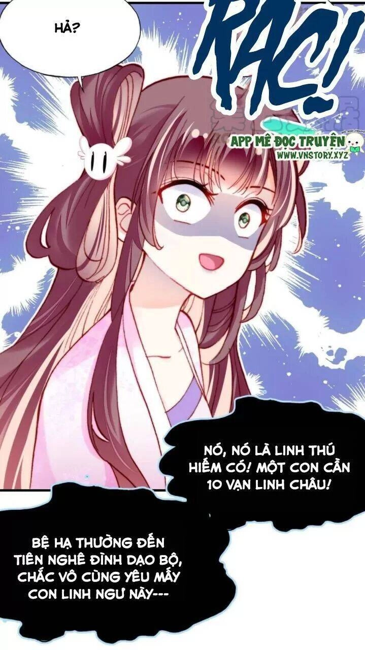 Lại Bị Bệnh Chiều Chuộng Quấn Lấy Chapter 34 - 12