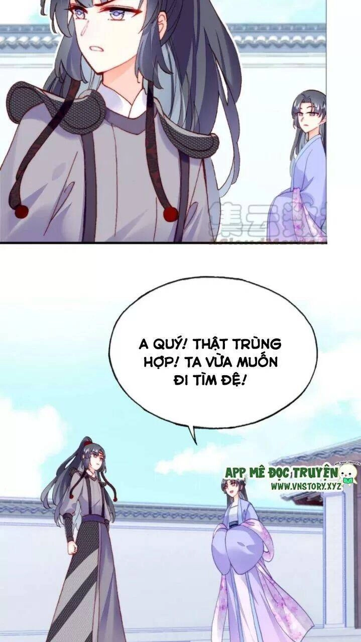 Lại Bị Bệnh Chiều Chuộng Quấn Lấy Chapter 34 - 43