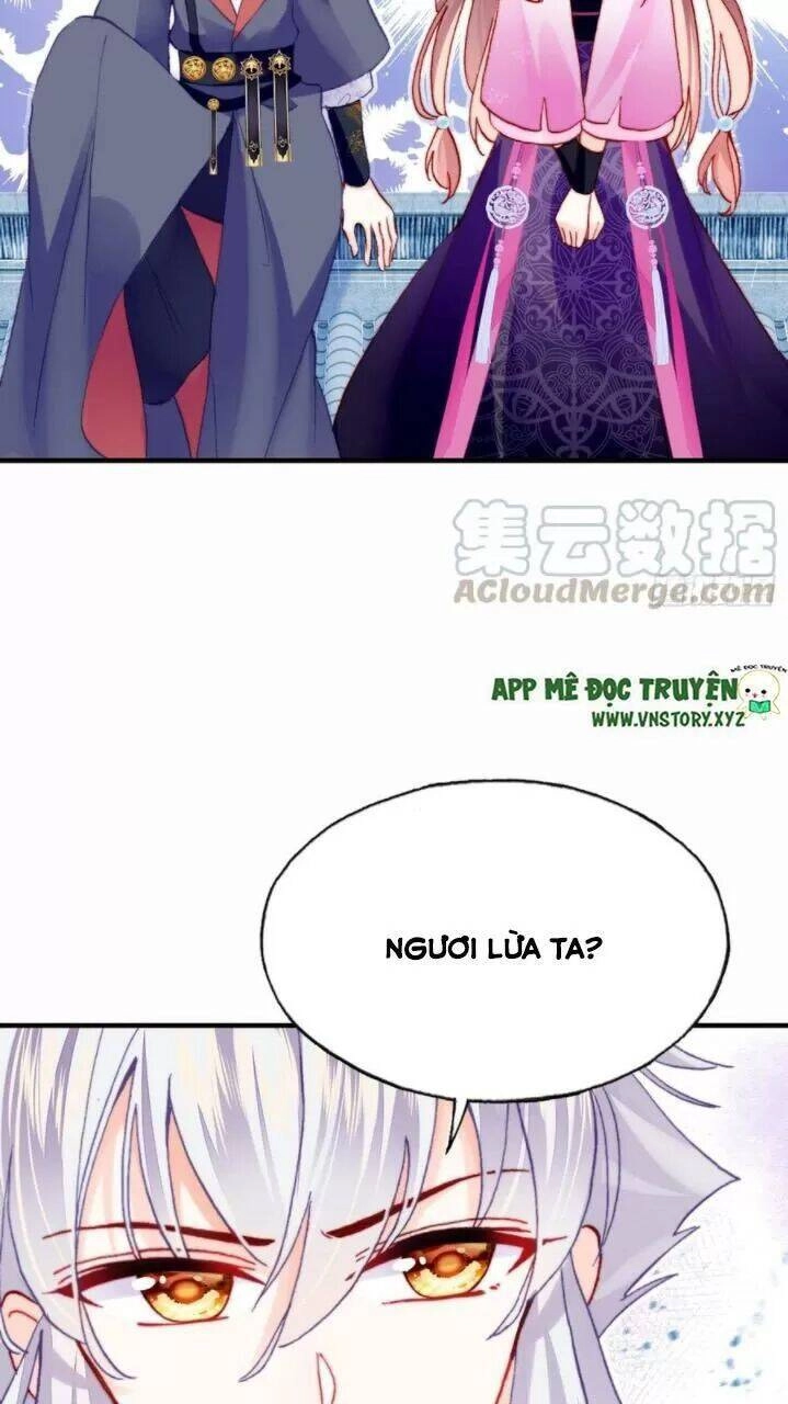 Lại Bị Bệnh Chiều Chuộng Quấn Lấy Chapter 35 - 21