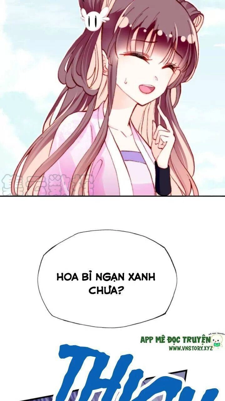 Lại Bị Bệnh Chiều Chuộng Quấn Lấy Chapter 35 - 38