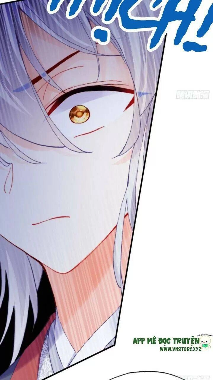 Lại Bị Bệnh Chiều Chuộng Quấn Lấy Chapter 35 - 39