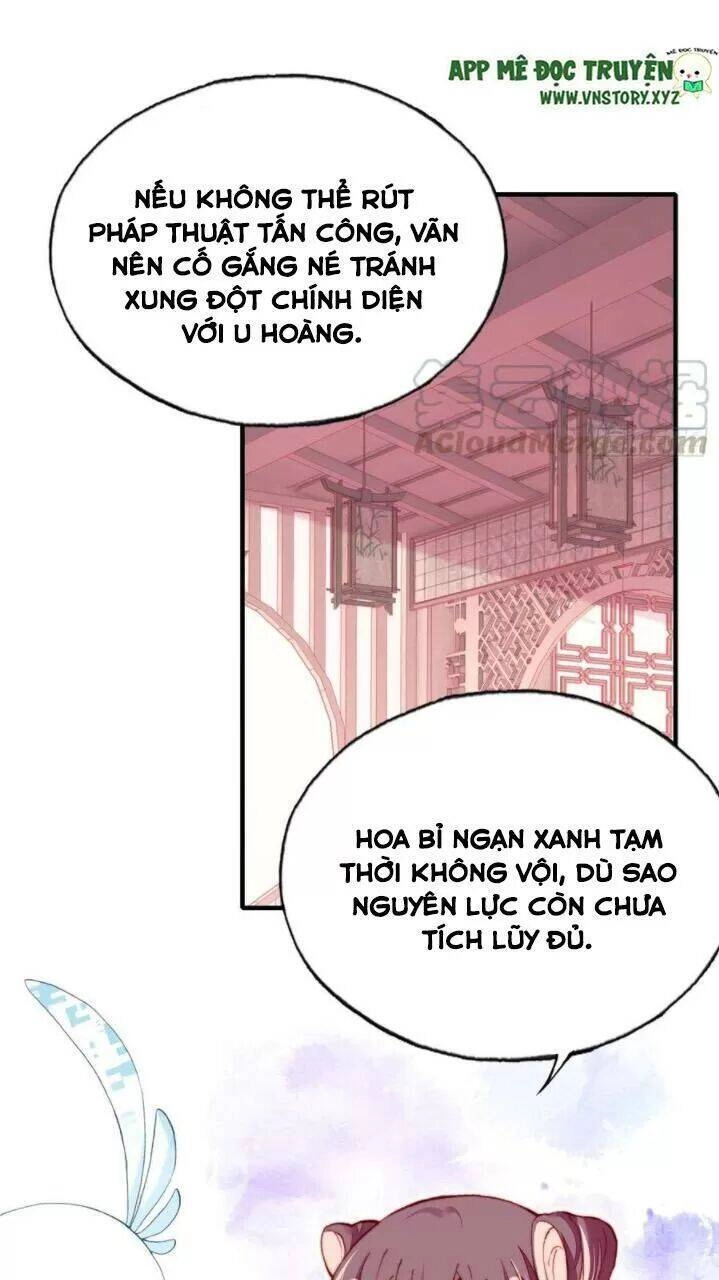 Lại Bị Bệnh Chiều Chuộng Quấn Lấy Chapter 36 - 11