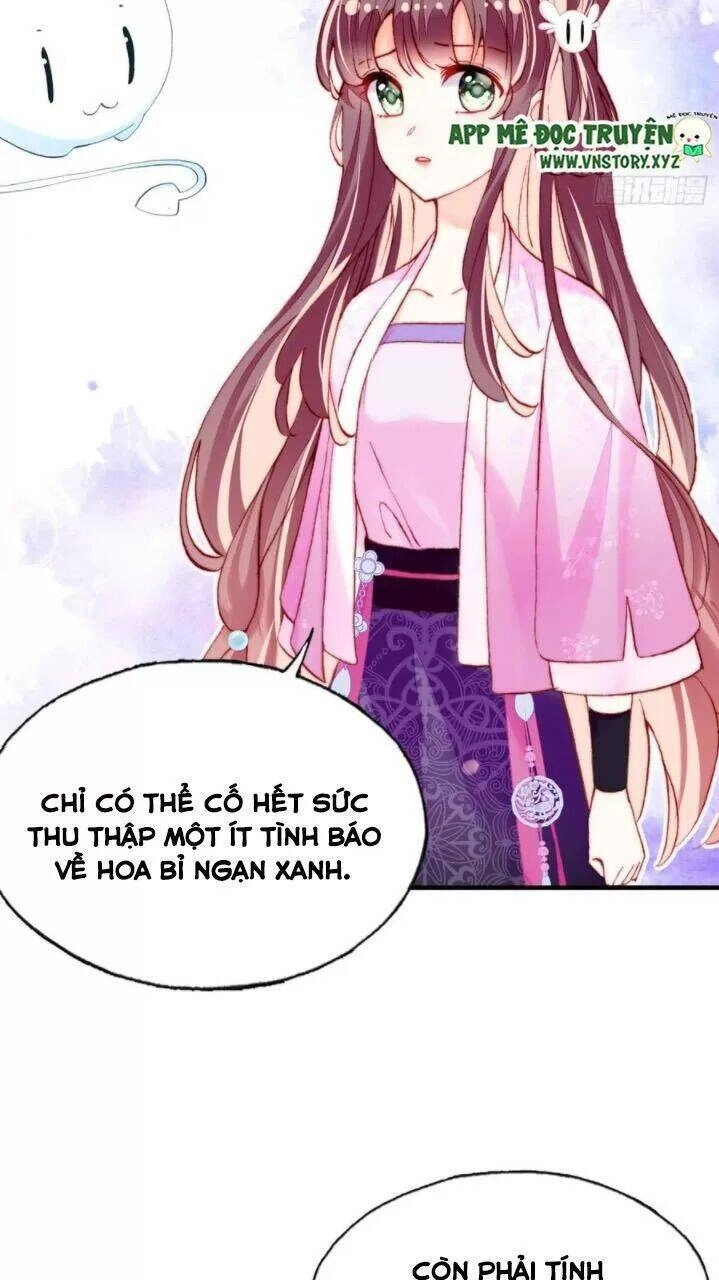 Lại Bị Bệnh Chiều Chuộng Quấn Lấy Chapter 36 - 12