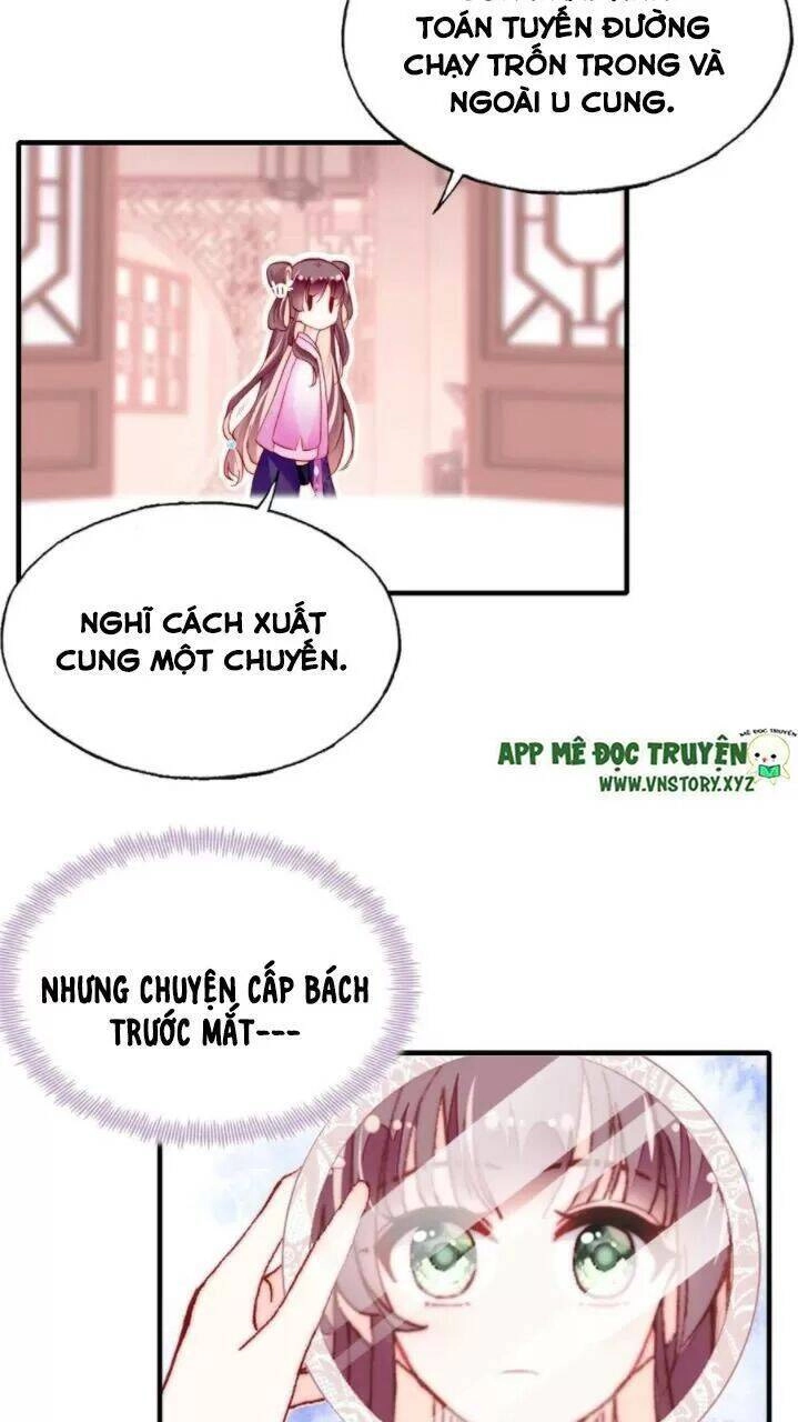 Lại Bị Bệnh Chiều Chuộng Quấn Lấy Chapter 36 - 13