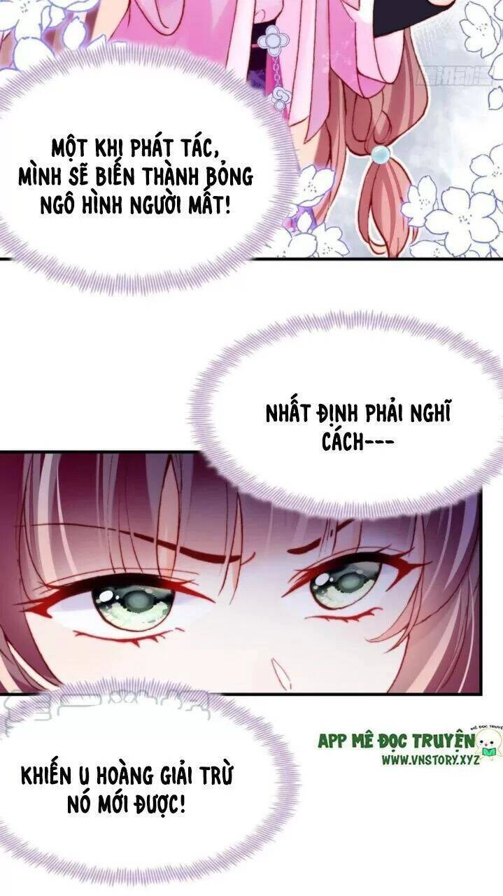 Lại Bị Bệnh Chiều Chuộng Quấn Lấy Chapter 36 - 15