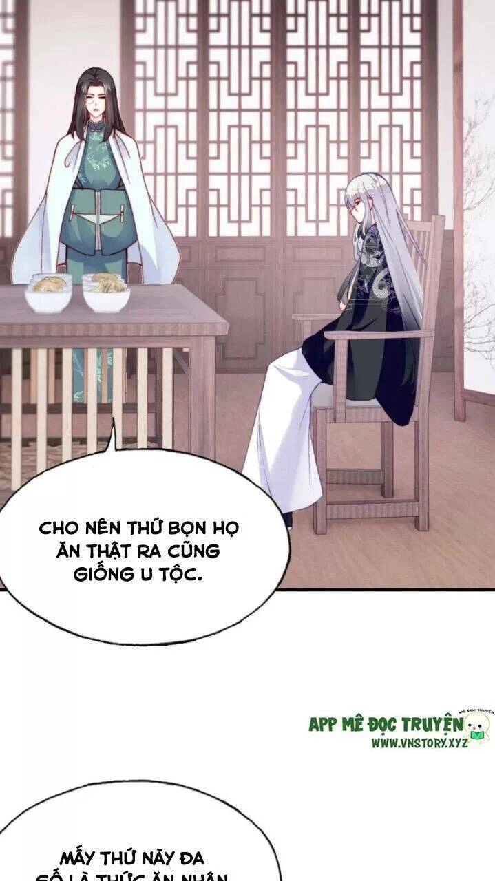 Lại Bị Bệnh Chiều Chuộng Quấn Lấy Chapter 36 - 24