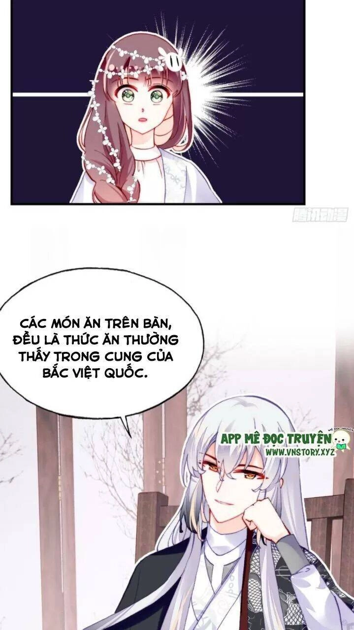 Lại Bị Bệnh Chiều Chuộng Quấn Lấy Chapter 36 - 46