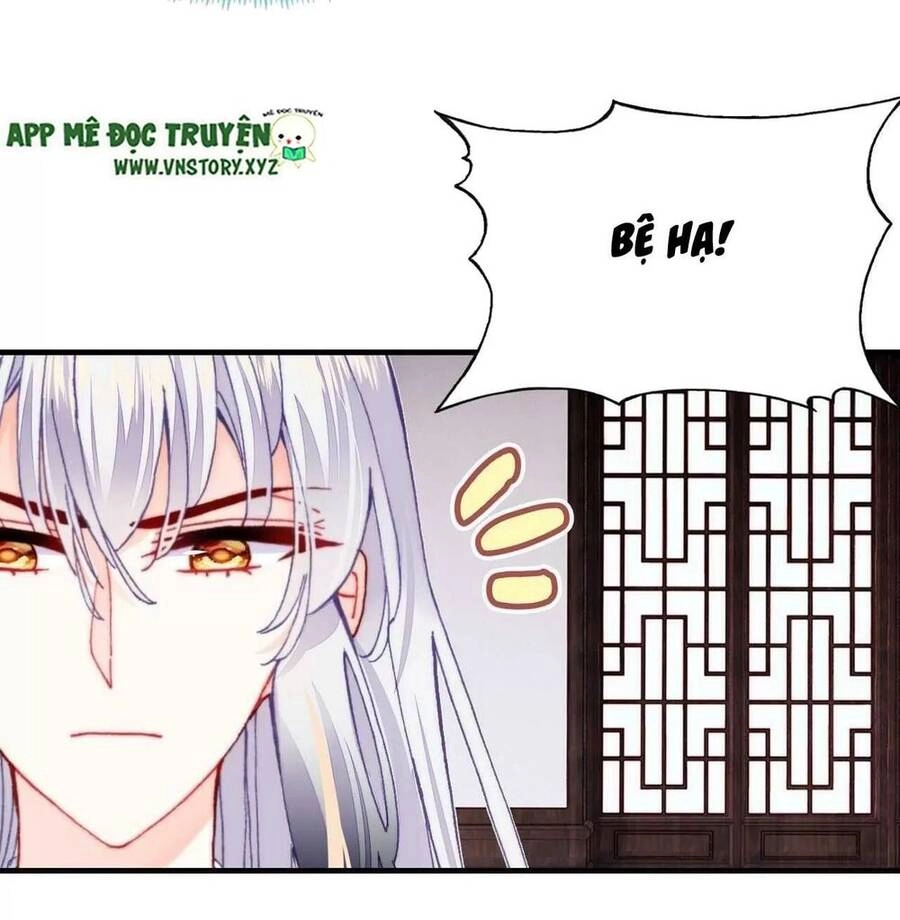 Lại Bị Bệnh Chiều Chuộng Quấn Lấy Chapter 40 - 55