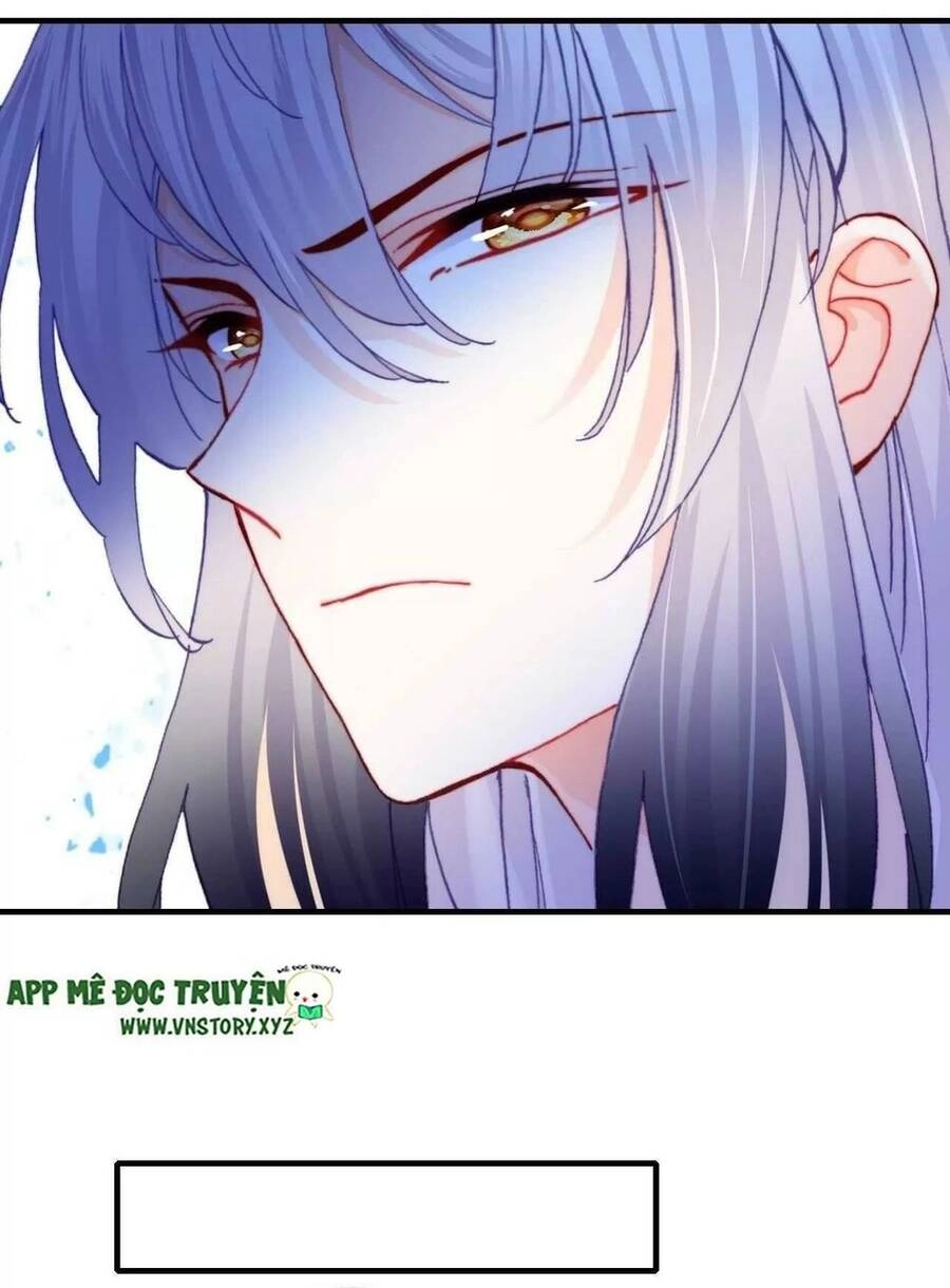 Lại Bị Bệnh Chiều Chuộng Quấn Lấy Chapter 40 - 66